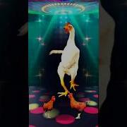 If I Had Chicken Remix