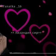 Фаина Абдуллаева Хизандин Сир