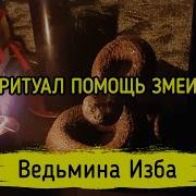 Помощь Змеи Ритуал Для Всех