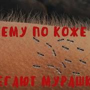Муражки По Коже Бегут И Бегут