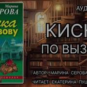Аудиокнига Убийца По Вызову