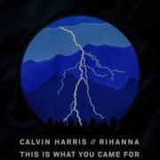 Calvin Harris This Is What You Came For Ft Rihanna Extended Mix