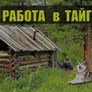 Работа В Тайге Все Части