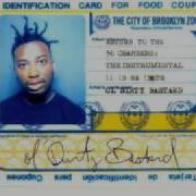 Odb Brooklyn Zoo Instrumental Track 4