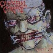 Cannibal Corpse Vile 1996 Full Album