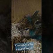 Привет Подписчики Я Очень Вас Люблю