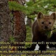 Тропа Бабьих Слез