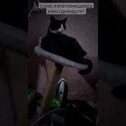Я Еле Помещаюсь В Ваш Драндулет