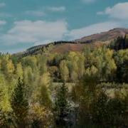 Текст Песни Осень Катится