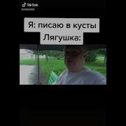 Наш Корабль Meme