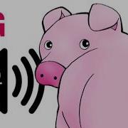 Piggy Sound Effect
