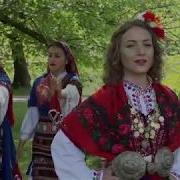 Снощи Саках Да Ти Дойда Илиана Мечкарова Snoshti Sakah Da Ti Doyda Iliana Mechkarova