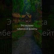 Звуки Бамбуковой Флейты