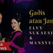 Janda Tua Dangdut