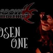 Chosen One Shadow The Hedgehog Acoustic Cover