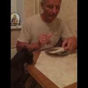 Дай Рыбки Двй Рыбки
