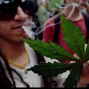 Plan Anasha Marijuana Armenian Song