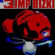 Bring The Noise Limp Bizkit