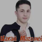 Цахай Магомедов Папа