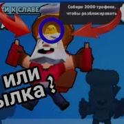 Секрет Разработчиков Секретка С Диномайком В Brawl Stars Brawl Stars