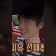 If You Bts Jungkook Iu