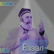 Саге Ки Туъмаи У Устухон Аст