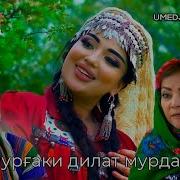 Умедчони Бурхон Мургаки Дилт Мурд