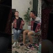 Гармонь Современные Песни