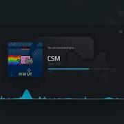 Nyan Cat Csm