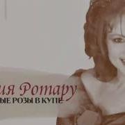 София Ратару Чайные Розы
