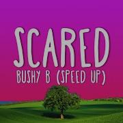 Scade Bad Boy Speed Uup