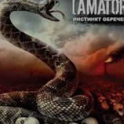 Amatory Белый Шум