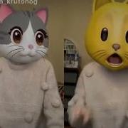 Кошка Лола Я Кошечка Гламур Скачать Клип