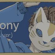 Phony Cover English