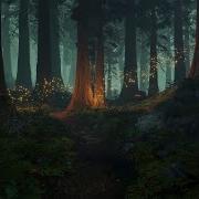 Enchanted Forest Music Ambience