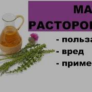 Расторопша Польза И Вред