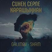 Синен Серле Карашыннан