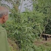 Воткни Мне Обратно