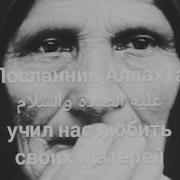 Нена Дог Цахьостш Вол К1Ант
