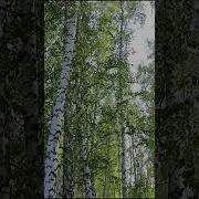 Песня На 12 Июня День России