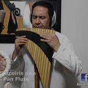 Pan Flute Colores Del Arcoiris