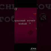 Посвящается Тем Кто Постоянно Пересылает Видео В Whatsapp