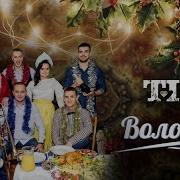 Тик Волошки