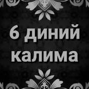 6 Diniy Kalima