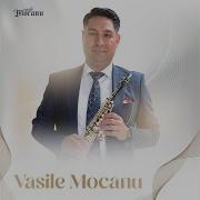 Vasile Mocanu Instrumental