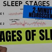 Sleep Spindle
