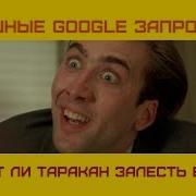 Смешные Запросы В Google