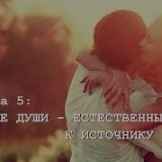 Родные Души Естественный Путь К Источнику Духовная Практика В