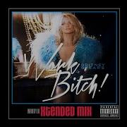 Britney Spears Work Bitch Remix