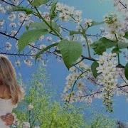 Мы Весною Повстречались